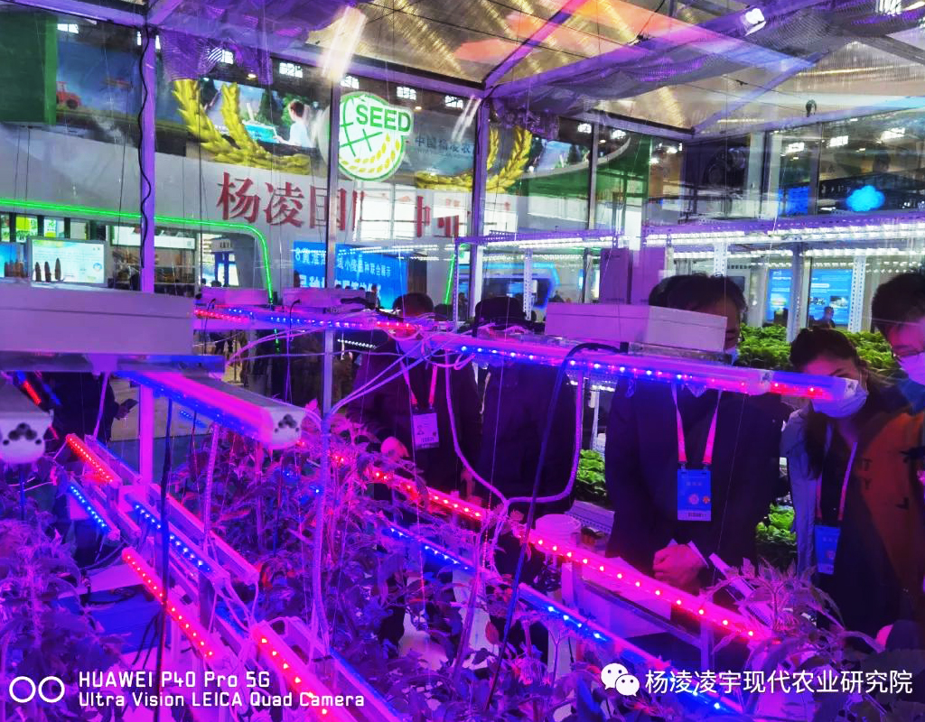 轮播图03.jpg