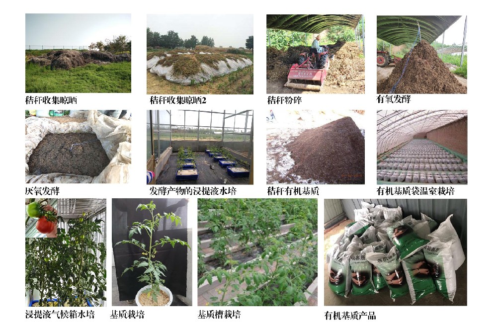秸秆废弃物资源化利用技术.jpg