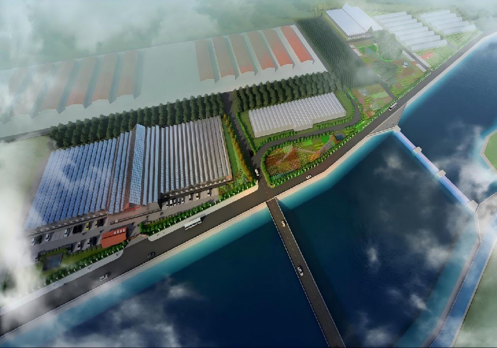 甘肃渭源鲜切花设施温室设计