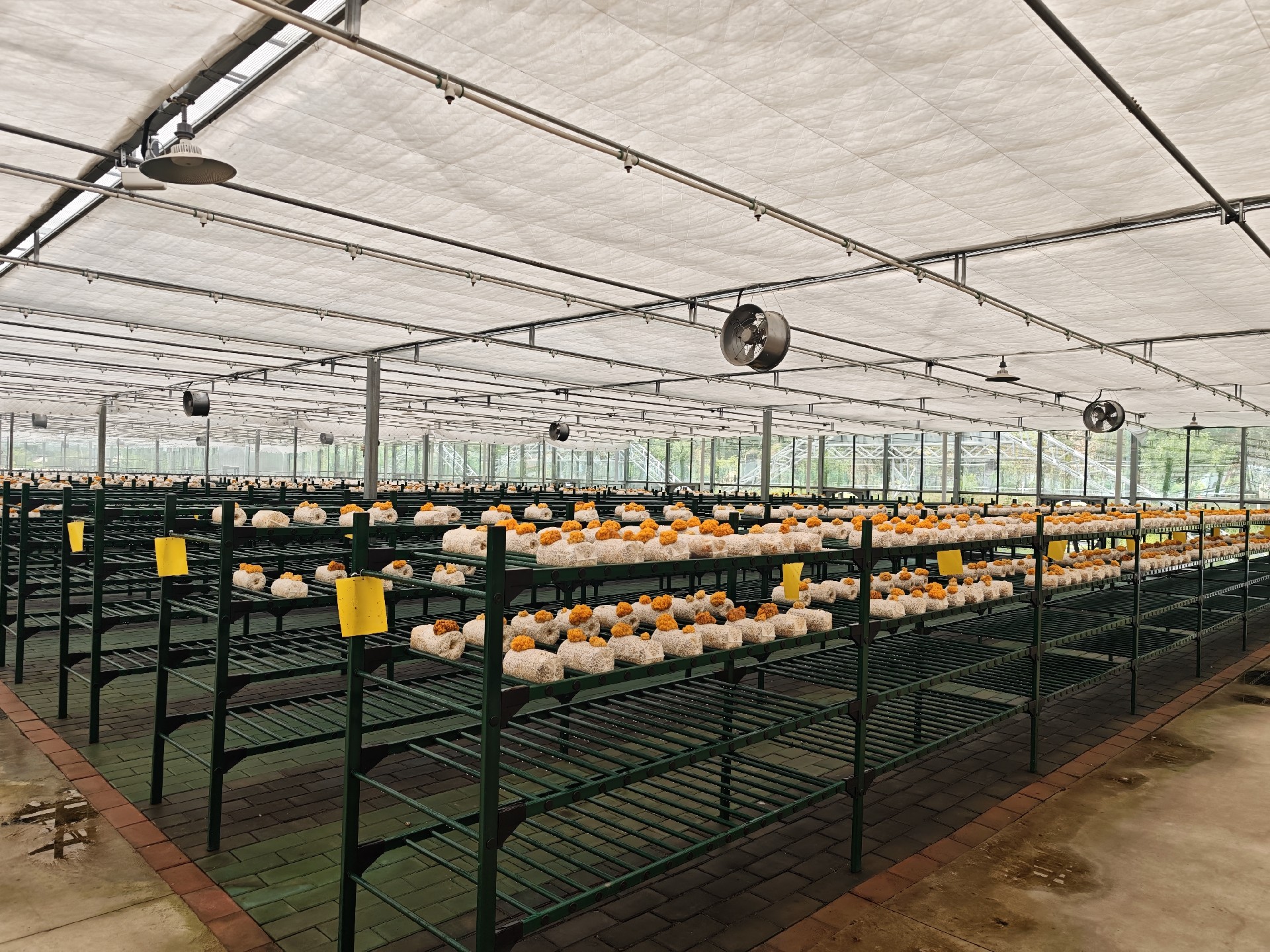 柞水金米智慧农业园规划设计